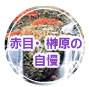 ԖځE匴̎